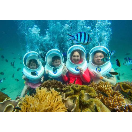 Đi Bộ Dưới Biển Tại Công Viên San Hô Namaste