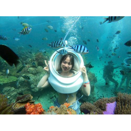 Giới thiệu dịch vụ