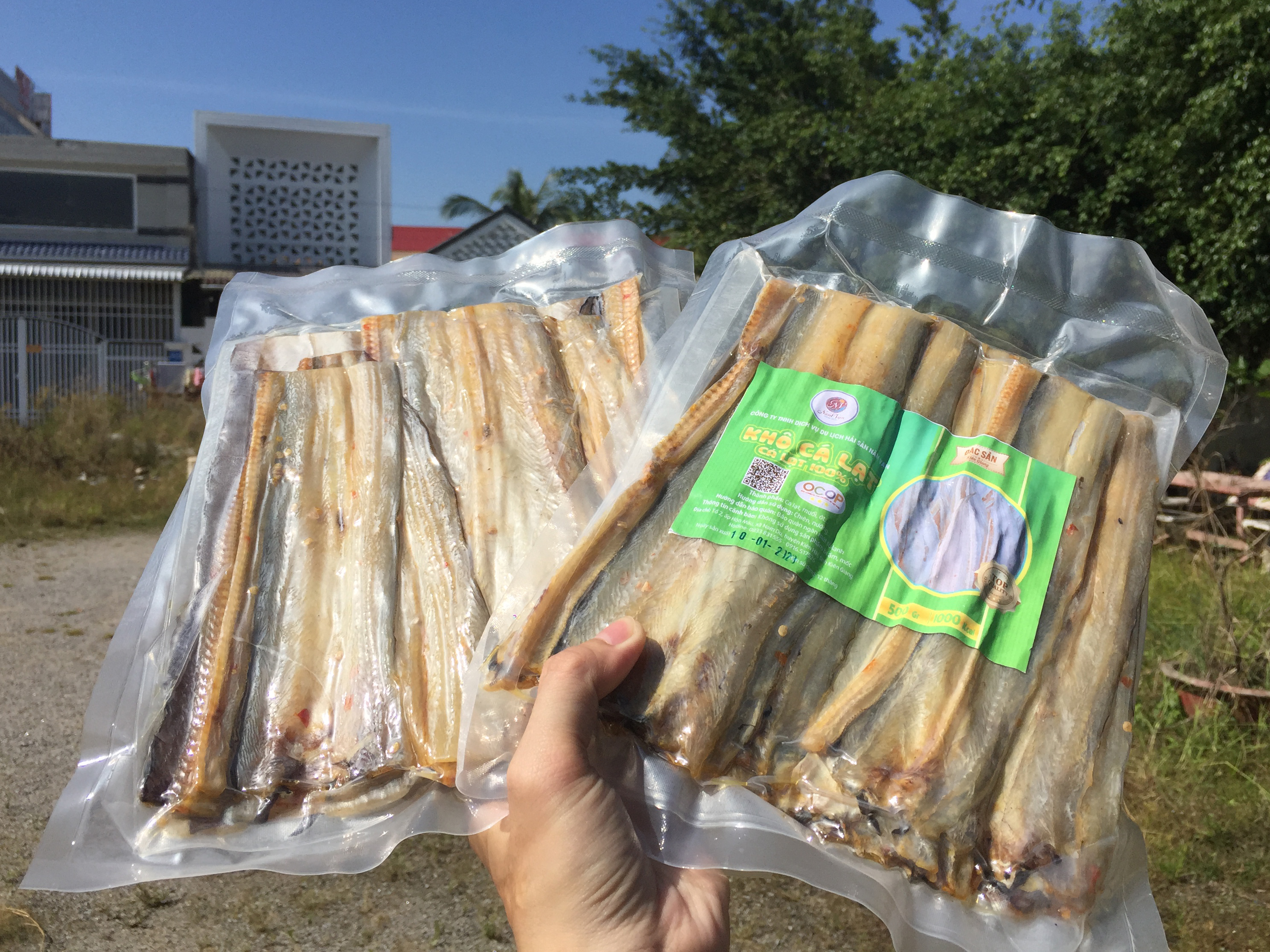 Giới Thiệu Về Khô Cá Lạt