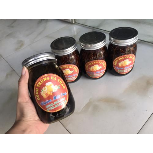 Giới Thiệu Về Mật Ong Đông Trùng Hạ Thảo